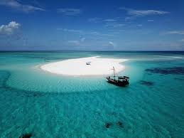 Charming Island Adventures